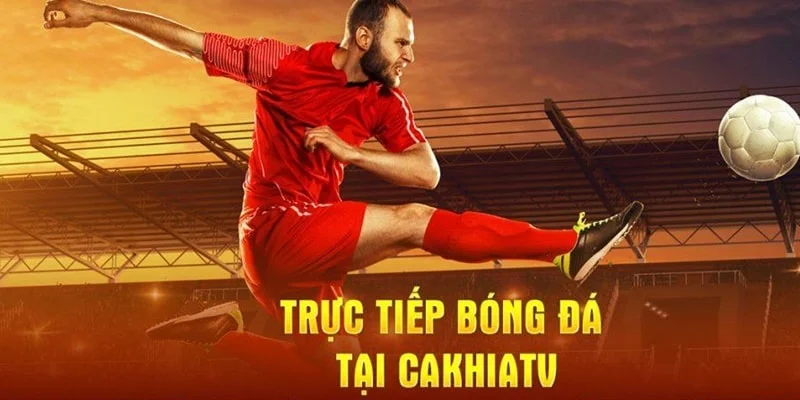 Tìm hiểu khái niệm cà khịa tv là gì cho tân binh mới gia nhập